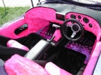 striking fluffy pink interior