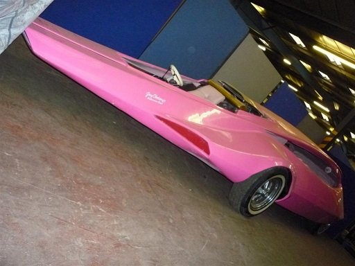 pink panther.jpg